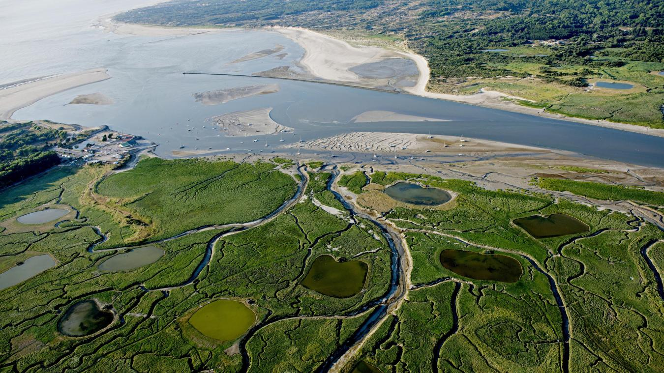 Marais & nature en baie de Canche